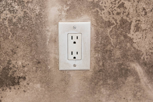 Best Post-Construction Mold Inspection  in Greenfield, CA