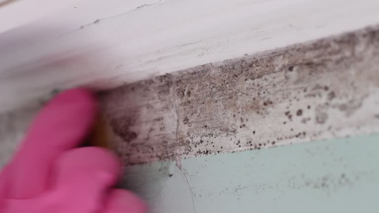 Best HVAC Mold Inspection and Cleaning  in Greenfield, CA